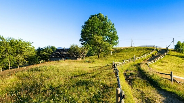 Лето в деревне